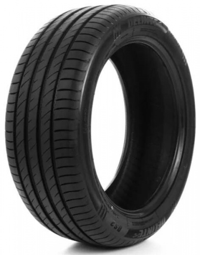 Шина Delinte DS-2 SUV 255/55 R18 109W