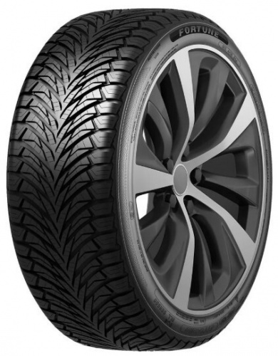 Шина Fortune Fitclime FSR-401 225/55R19 99W