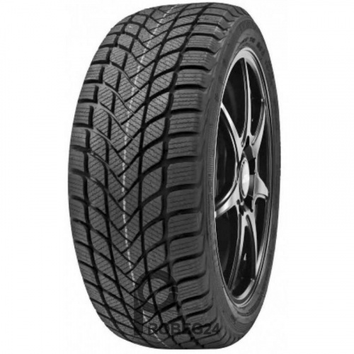 Delinte Winter WD6 225/55 R16 99V
