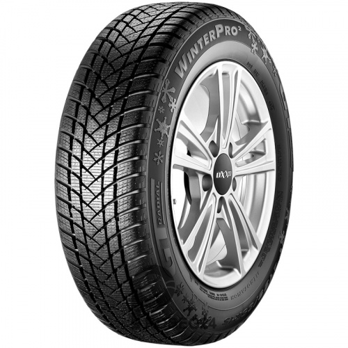 GT Radial WinterPro 2 205/55 R17 95H XL