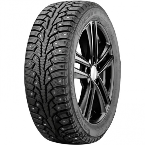 Ikon Tyres Character Ice 5 205/70 R15 100T